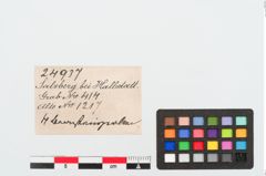 Etiketten zu Perlenkette (NHMW-PRAE-024937)